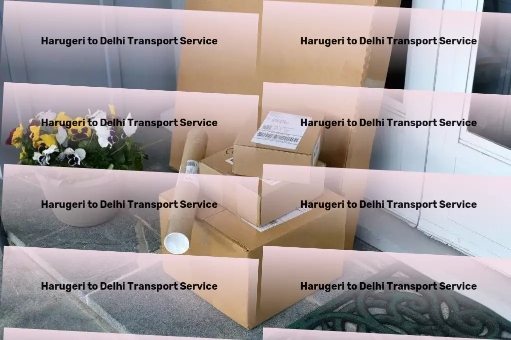 Harugeri to Delhi Transport Efficient package moving