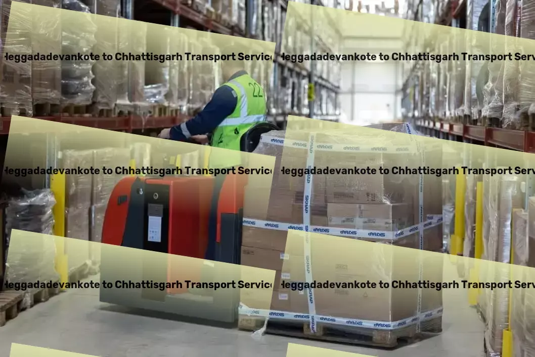 Heggadadevankote to Chhattisgarh Transport Nationwide parcel transport