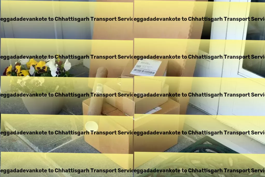 Heggadadevankote to Chhattisgarh Transport A seamless integration into your daily life. - Cargo and freight company