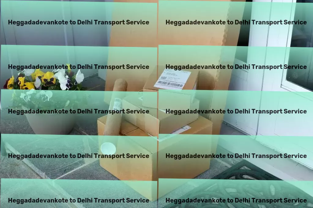 Heggadadevankote to Delhi Transport Professional transport solutions