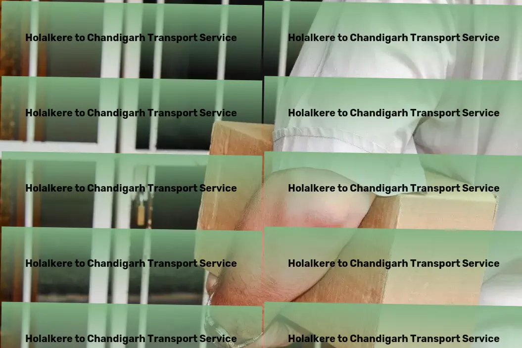 Holalkere to Chandigarh Transport Full-scale logistics management