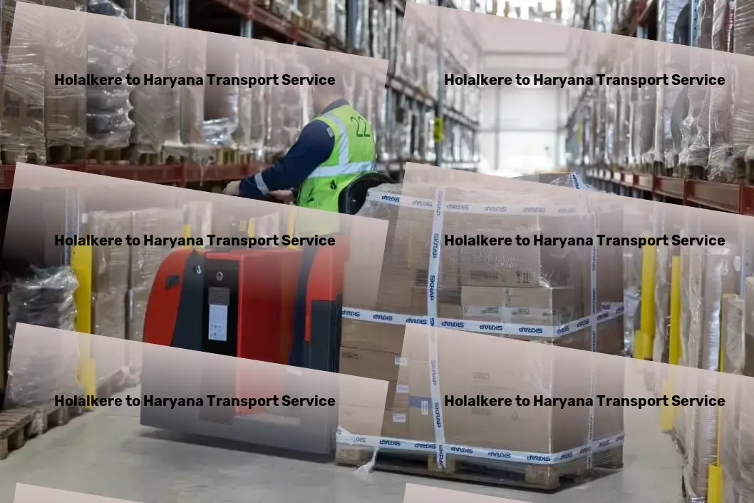 Holalkere to Haryana Transport Custom goods transport services