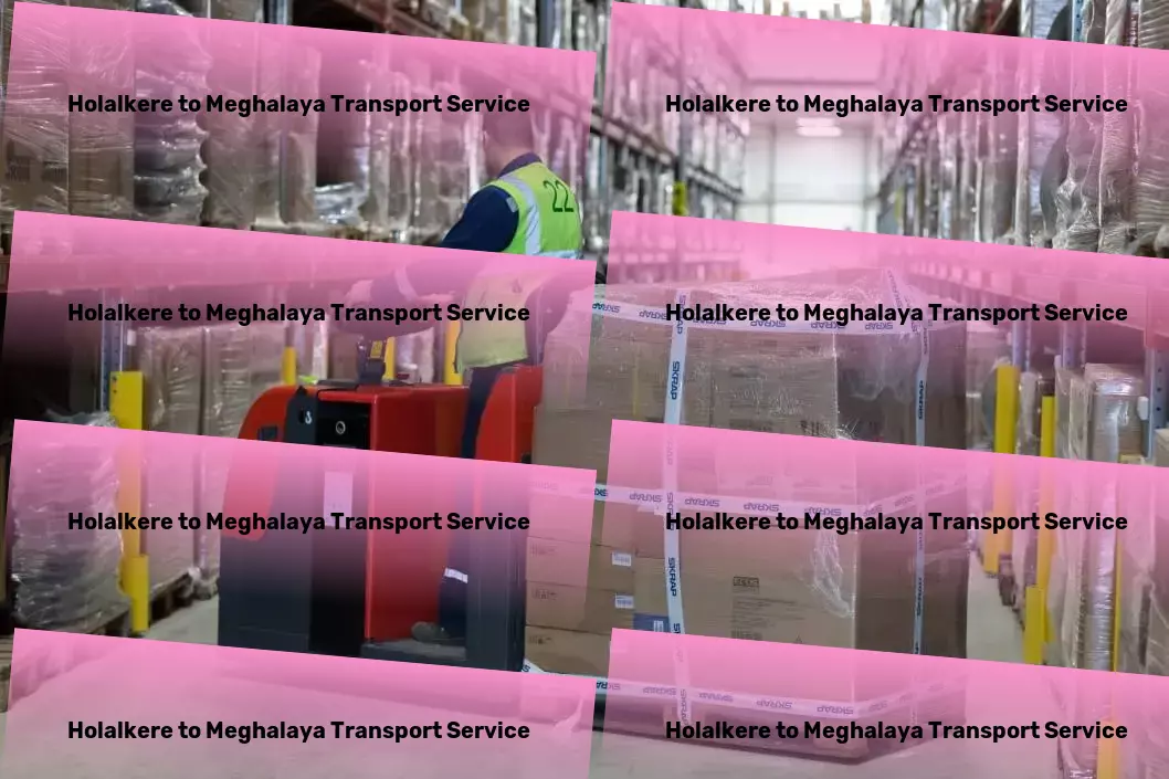 Holalkere to Meghalaya Transport Total logistics solutions