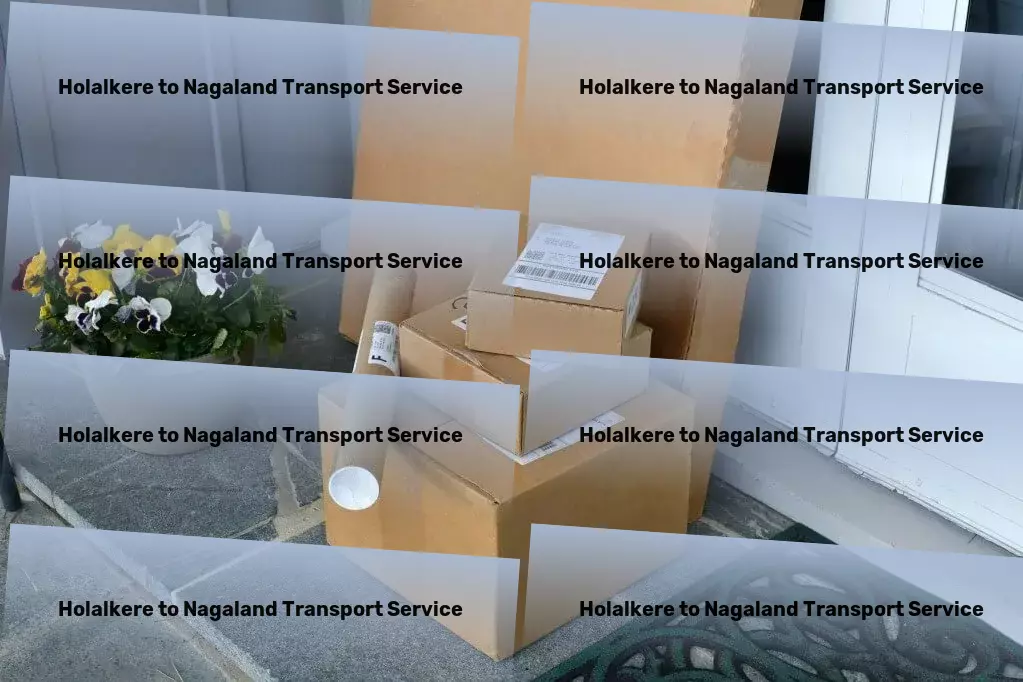 Holalkere to Nagaland Transport Customized transport coordination