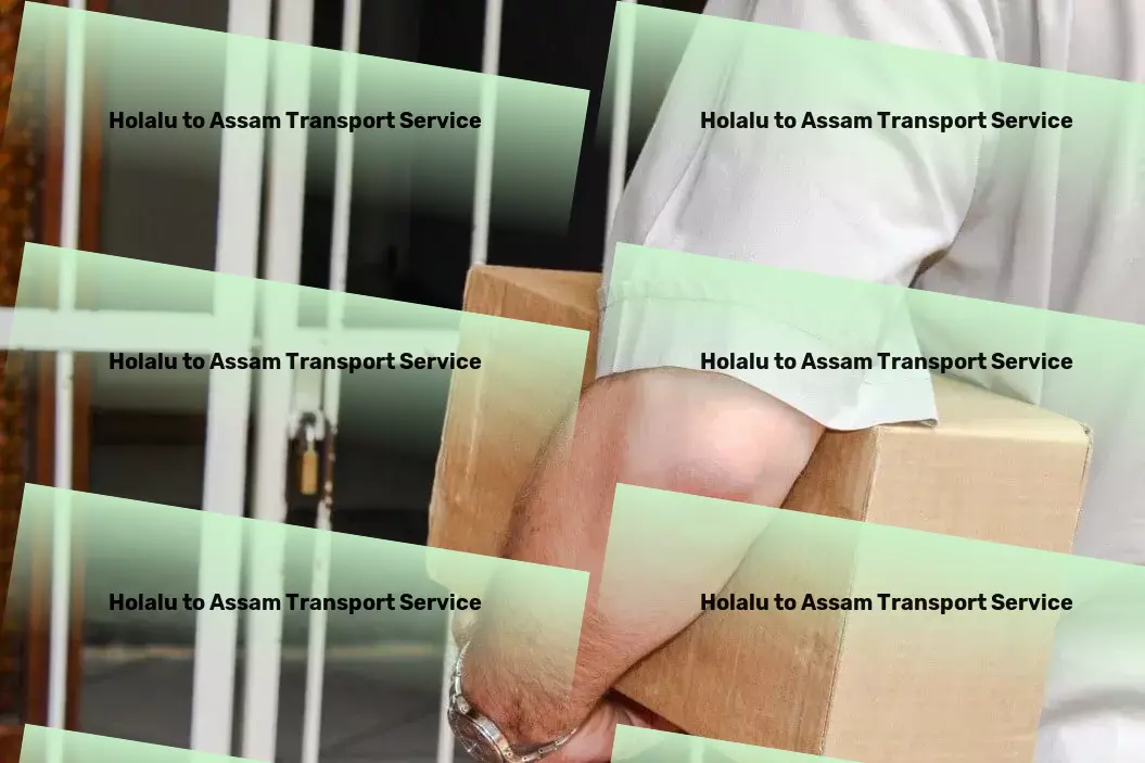 Holalu to Assam Transport Effortless management of your day-to-day activities! - International freight logistics