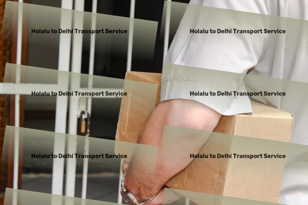 Holalu to Delhi Transport Full-service logistics provider