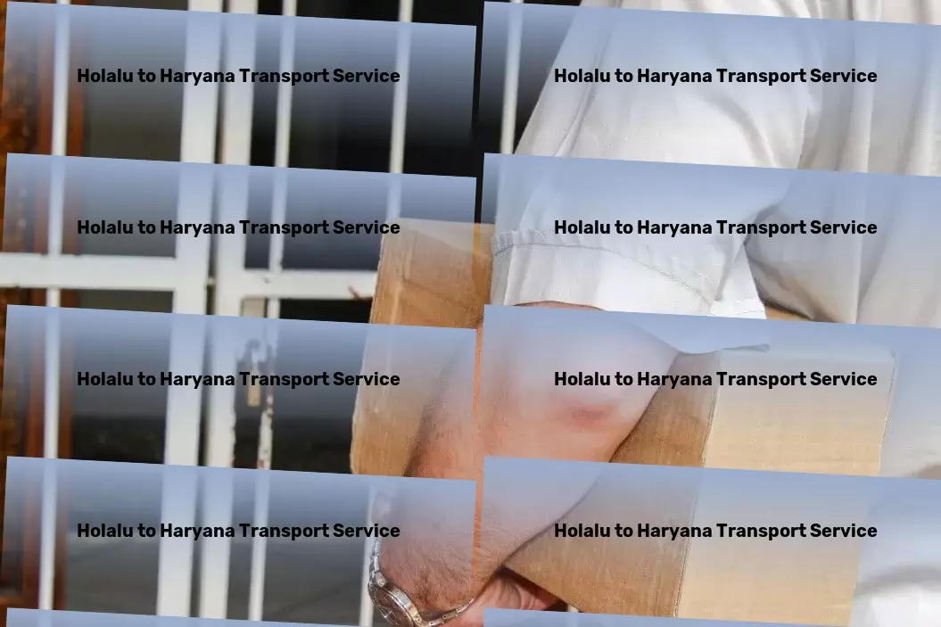 Holalu to Haryana Transport Advanced freight technology