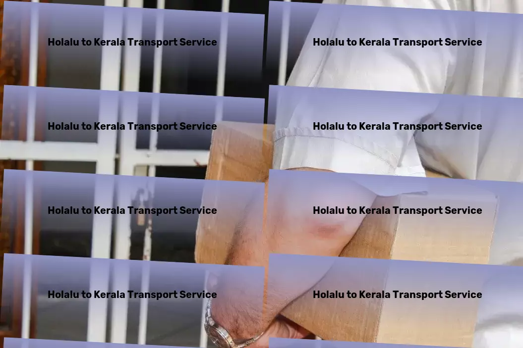 Holalu to Kerala Transport Rapid logistics services