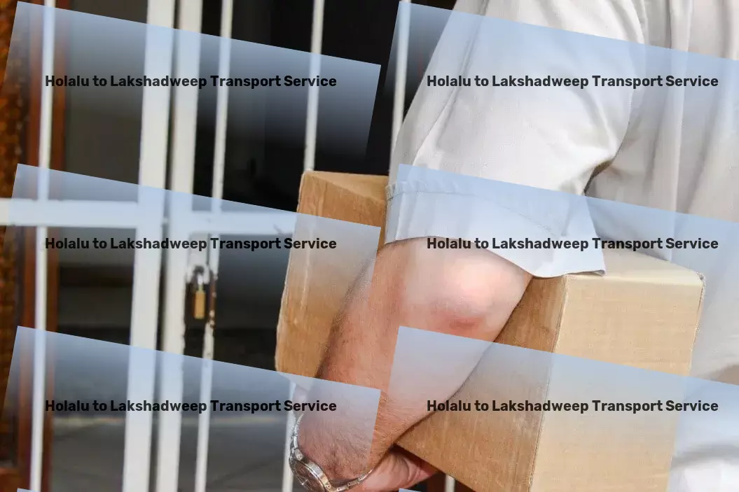 Holalu to Lakshadweep Transport Comprehensive transport services