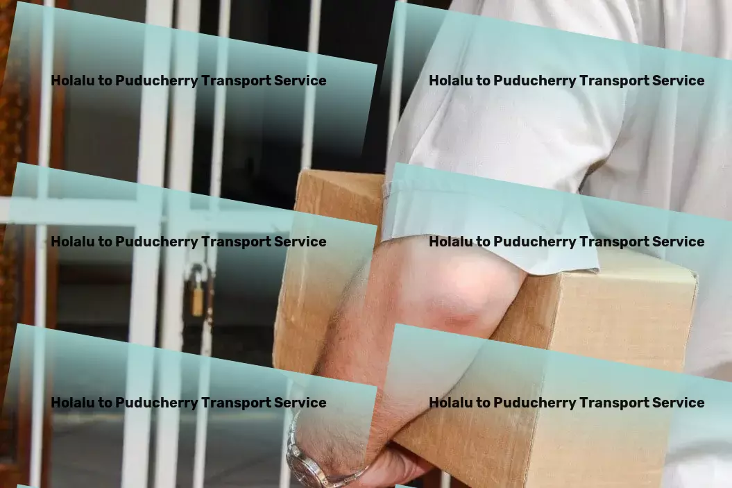 Holalu to Puducherry Transport High-speed freight forwarding