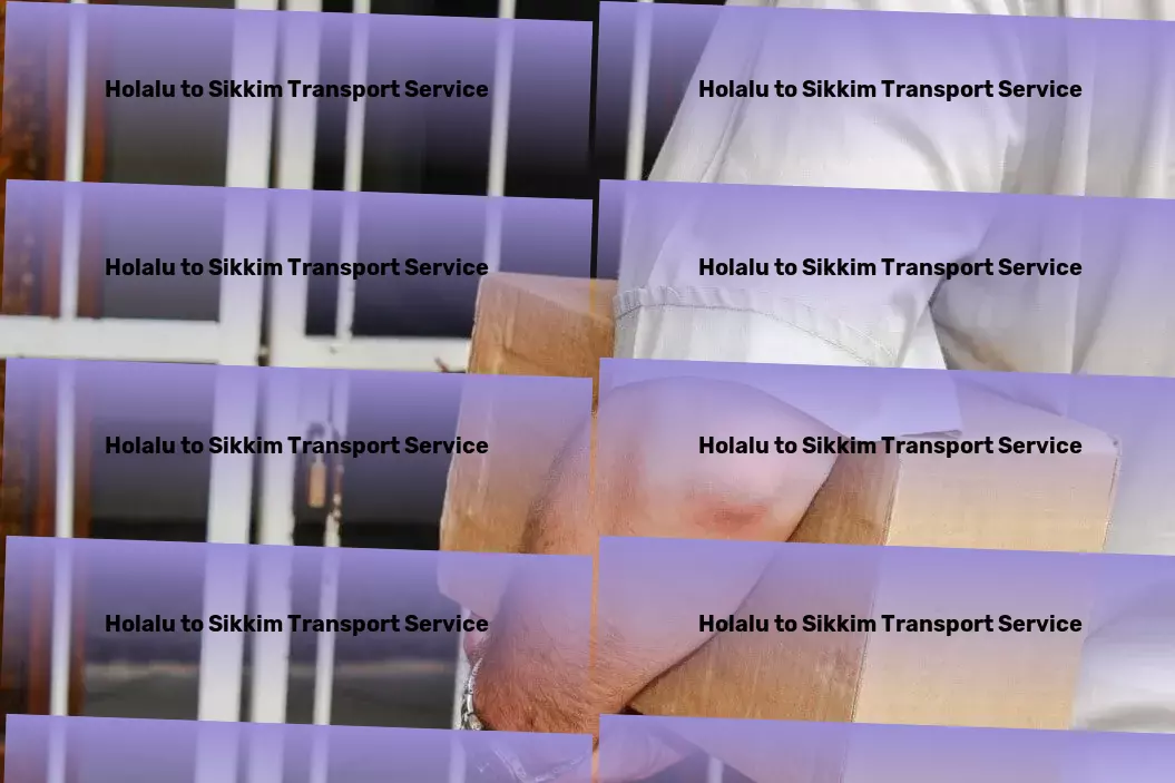 Holalu to Sikkim Transport Bringing convenience to your fingertips! - Container transport services