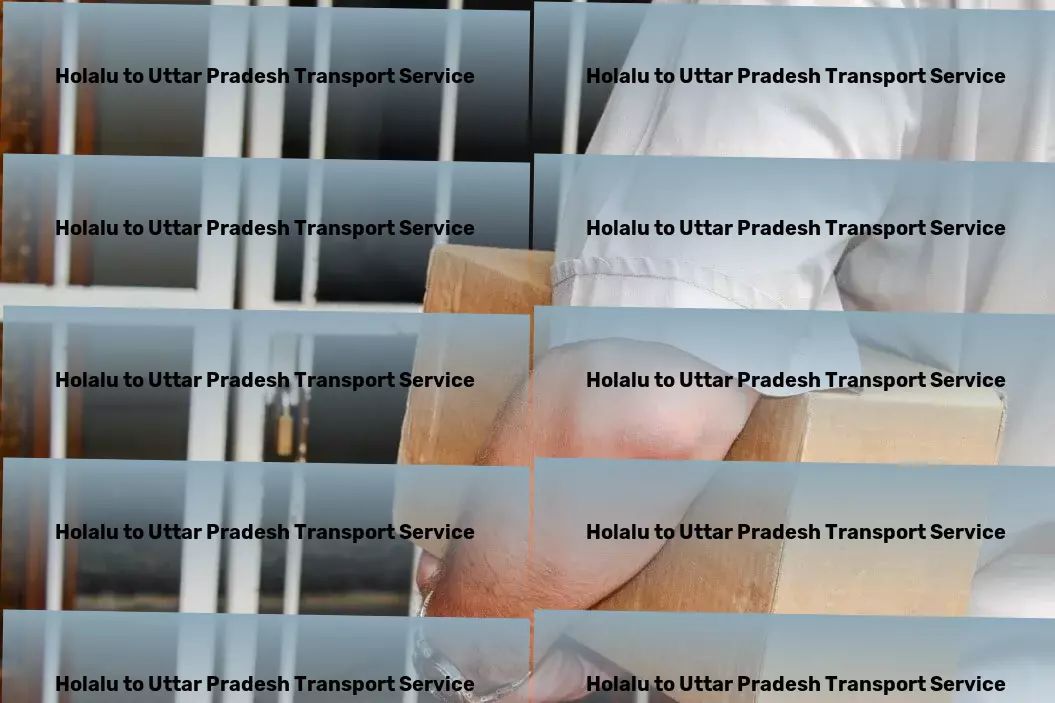 Holalu to Uttar Pradesh Transport Special cargo services