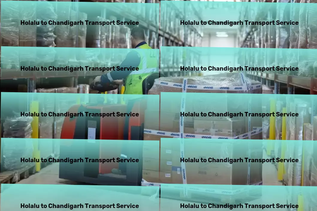 Holalu to Chandigarh Transport Where every logistic challenge meets an innovative solution! - Scheduled delivery services