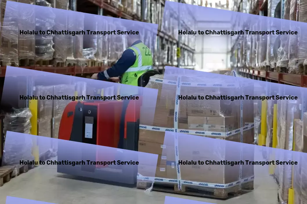 Holalu to Chhattisgarh Transport Express cargo logistics