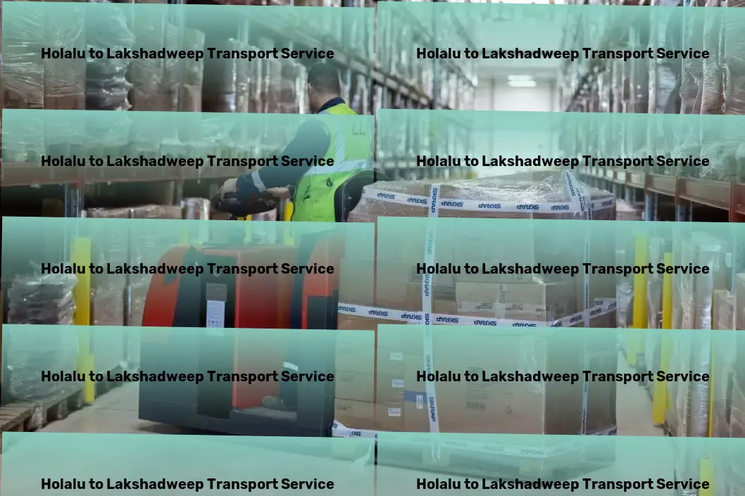 Holalu to Lakshadweep Transport Local cargo services