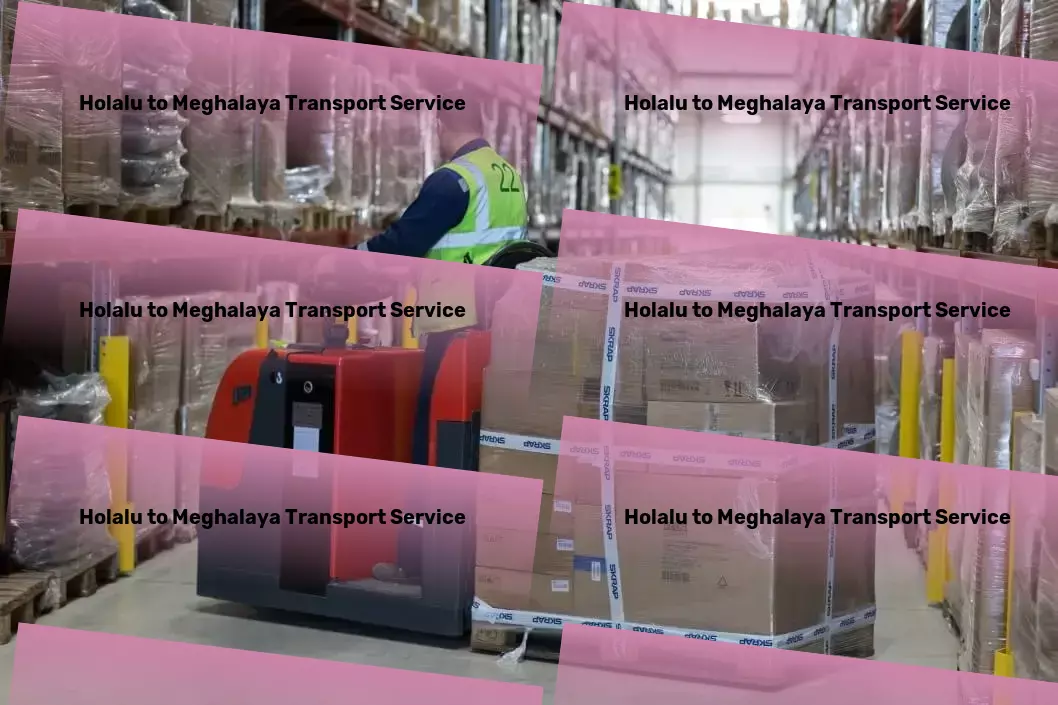 Holalu to Meghalaya Transport Where technology meets everyday practicality. - Cargo freight