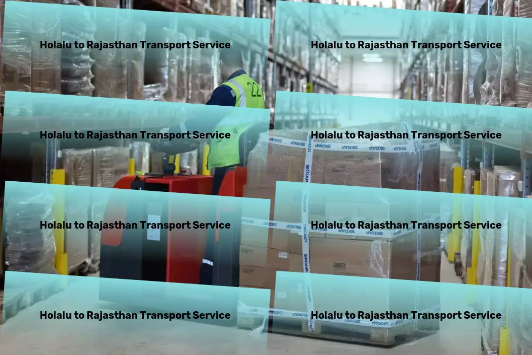 Holalu to Rajasthan Transport Supply chain management