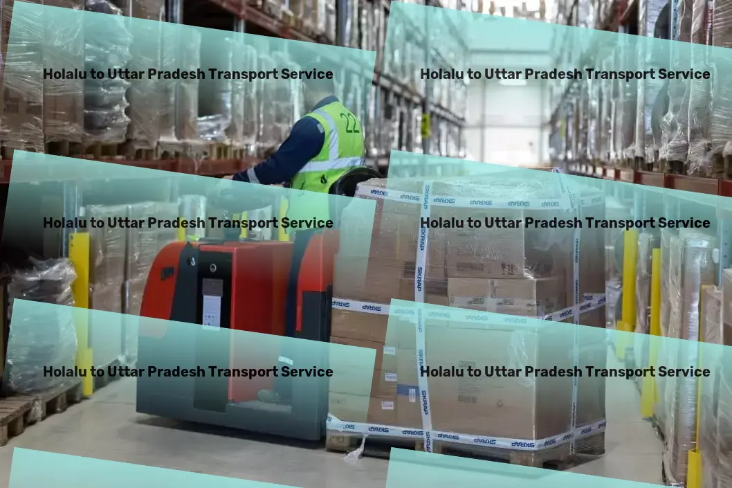 Holalu to Uttar Pradesh Transport Nationwide movers