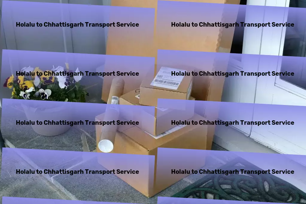 Holalu to Chhattisgarh Transport Crafting futures with our logistic innovations. - City-to-city transport operations