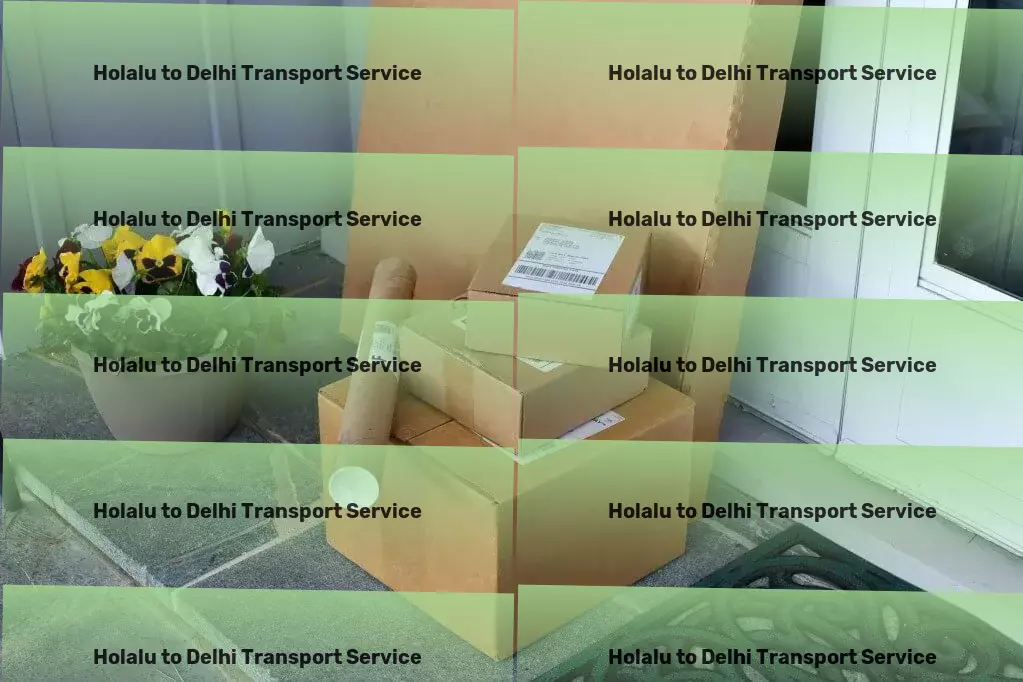 Holalu to Delhi Transport Efficient goods transport solutions within India! - Advanced goods shipment solutions