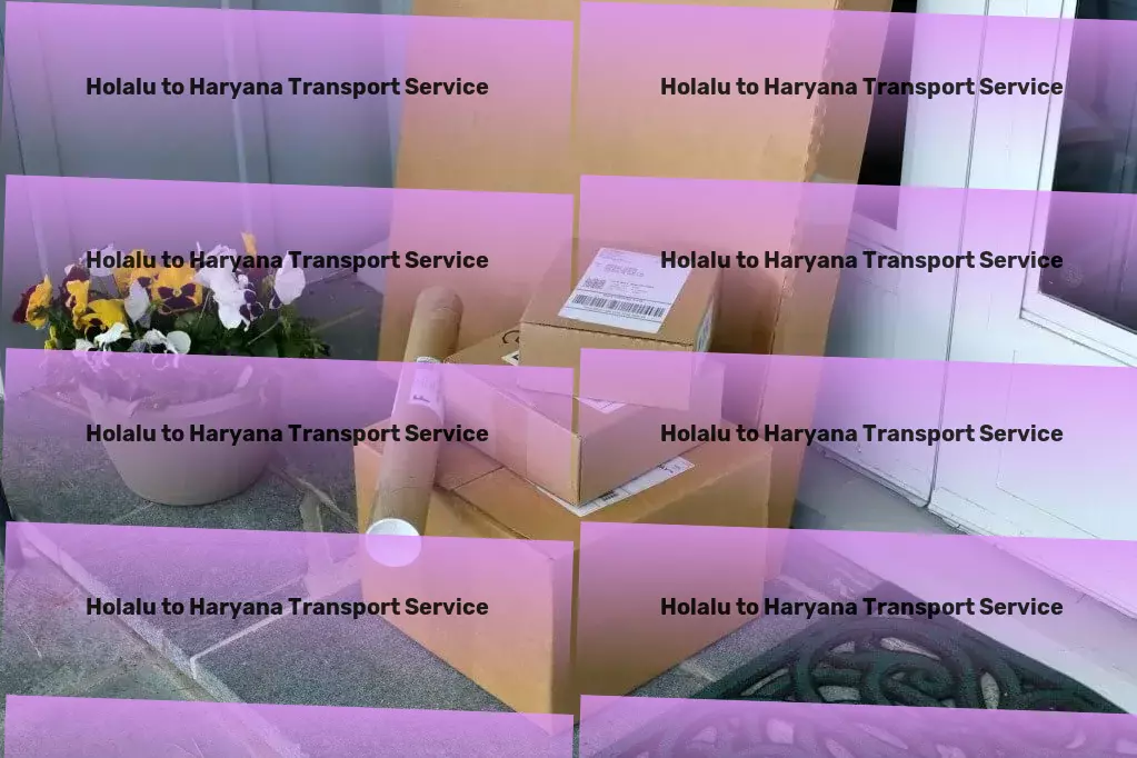 Holalu to Haryana Transport Navigate the wonders of India with us by your side! - Professional moving and shipment