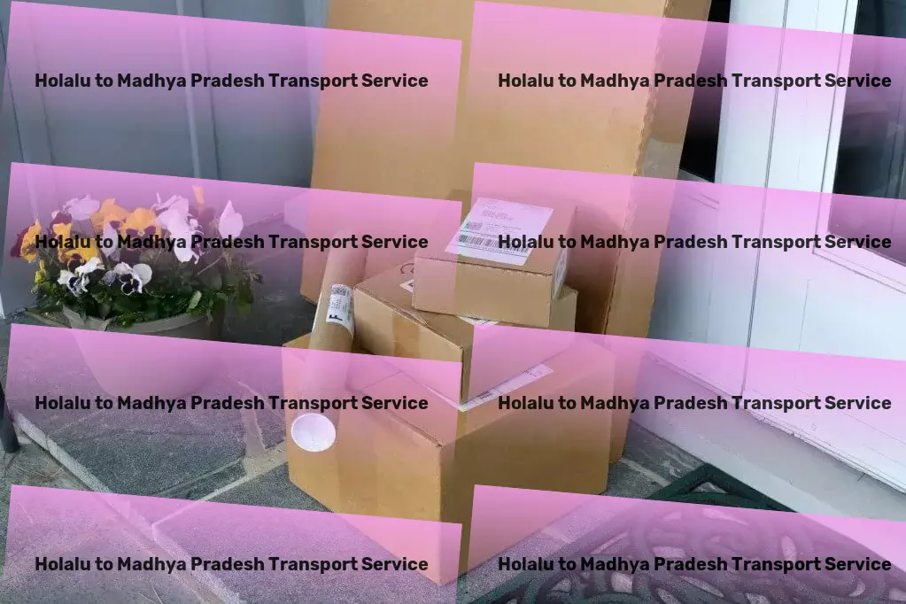 Holalu to Madhya Pradesh Transport Full-scale courier services