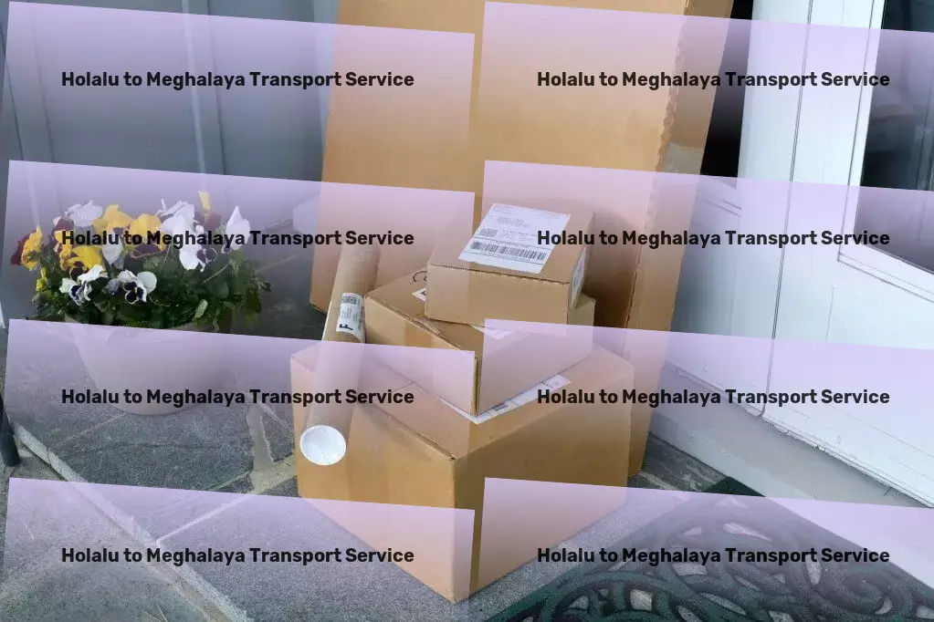 Holalu to Meghalaya Transport Specialized logistics services