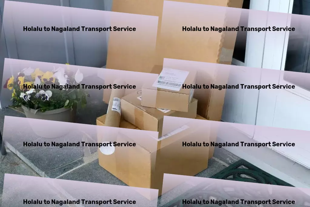 Holalu to Nagaland Transport Urban movers and packers