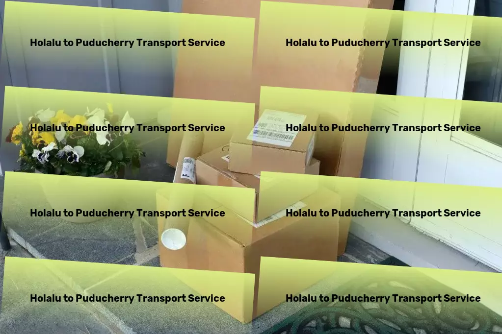 Holalu to Puducherry Transport Full-service moving solutions