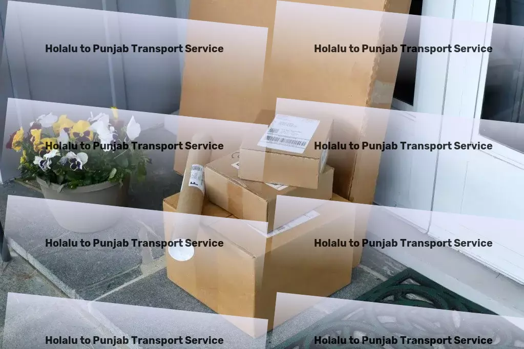 Holalu to Punjab Transport Fast goods transport solutions