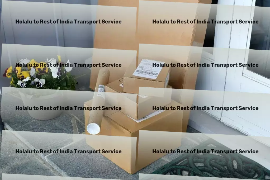 Holalu to Rest Of India Transport Eco-friendly transport solutions