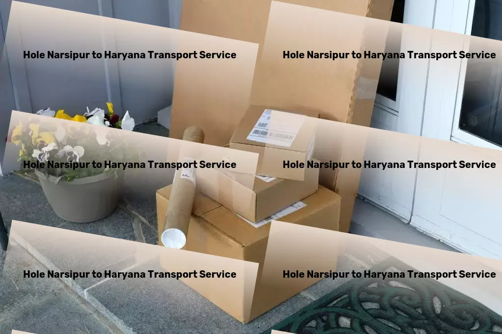 Hole Narsipur to Haryana Transport Advanced goods solutions