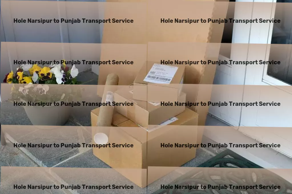 Hole Narsipur to Punjab Transport High-speed package services