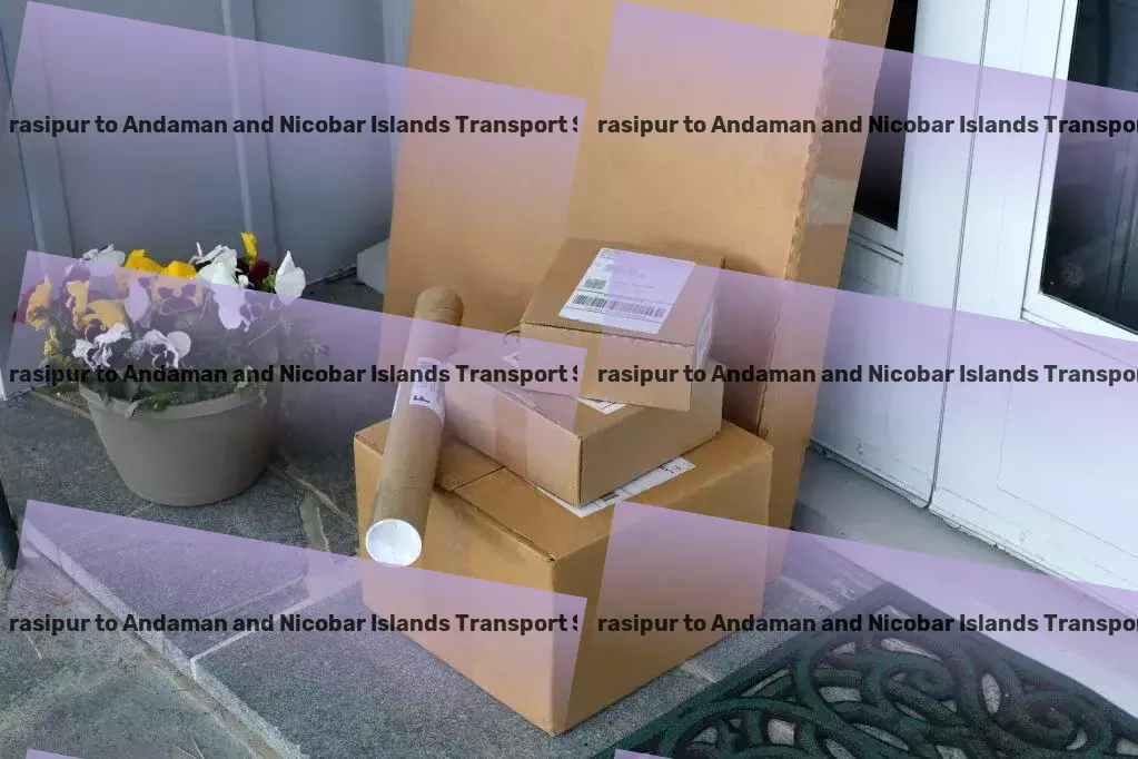 Holenarasipur to Andaman And Nicobar Islands Transport Household Parcel Service