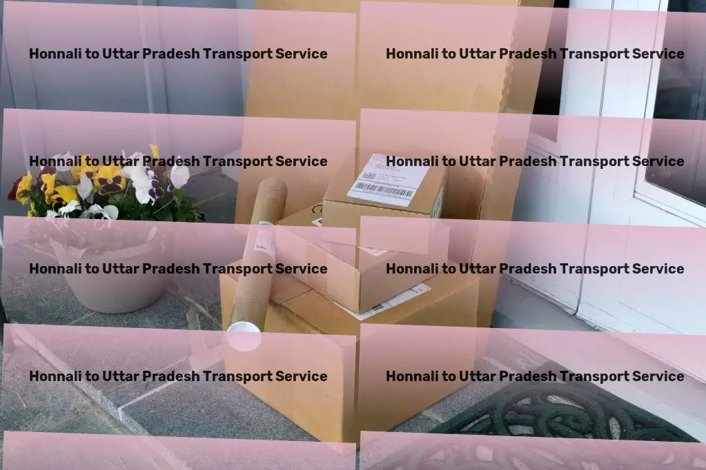 Honnali to Uttar Pradesh Transport Professional courier logistics