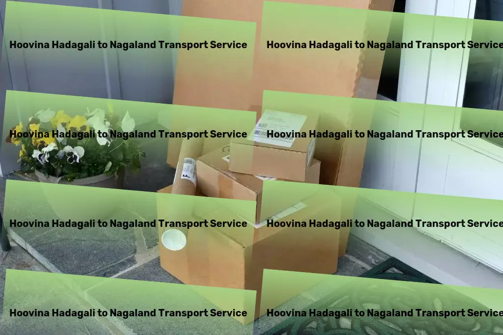 Hoovina Hadagali to Nagaland Transport Commercial cargo solutions