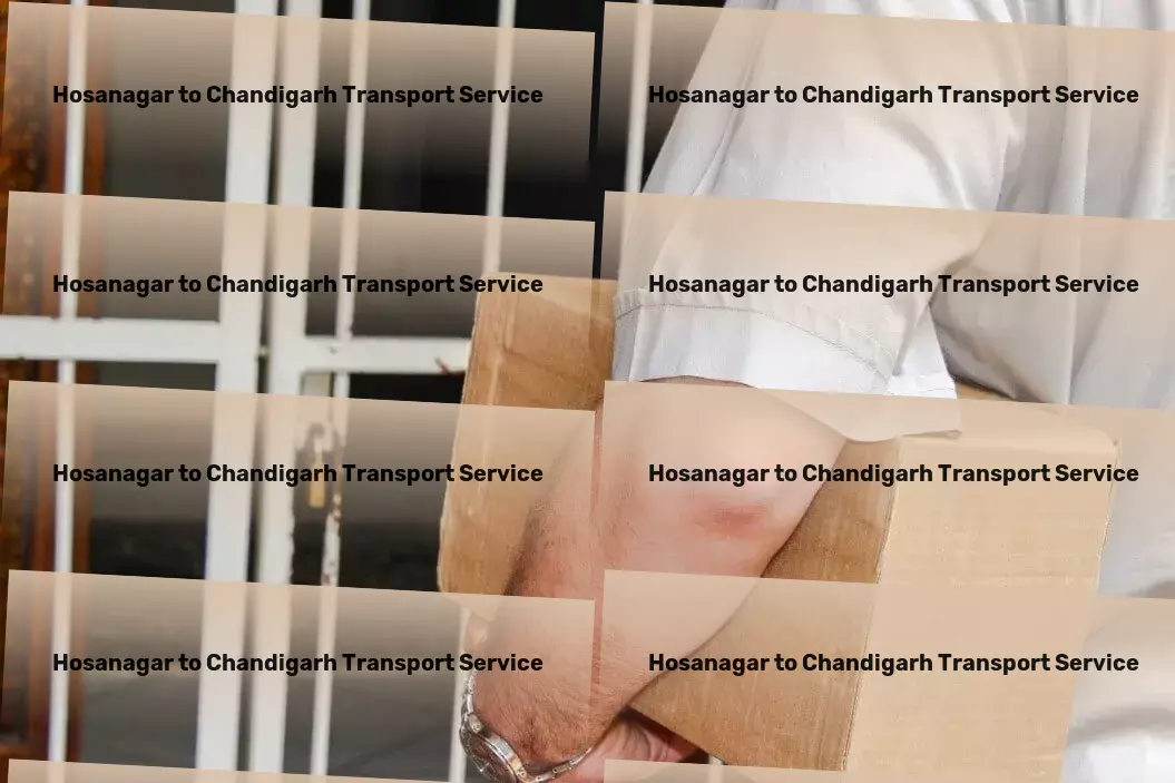 Hosanagar to Chandigarh Transport On-demand logistics