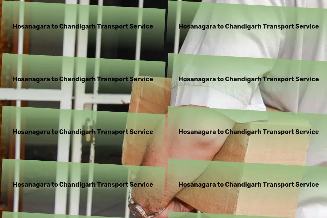 Hosanagara to Chandigarh Transport Bulk transport services