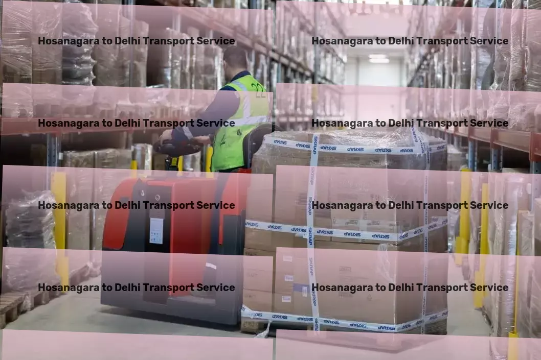 Hosanagara to Delhi Transport Personal goods forwarding