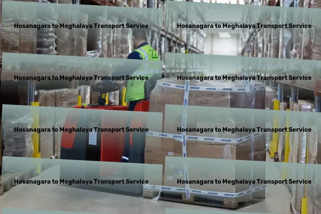 Hosanagara to Meghalaya Transport National logistics coordination