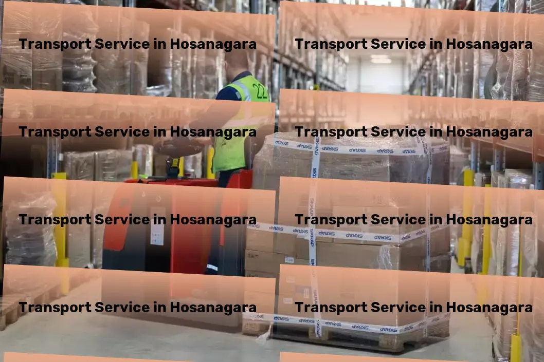 Courier And Parcel in Hosanagara, Karnataka (KA) Custom clearance services