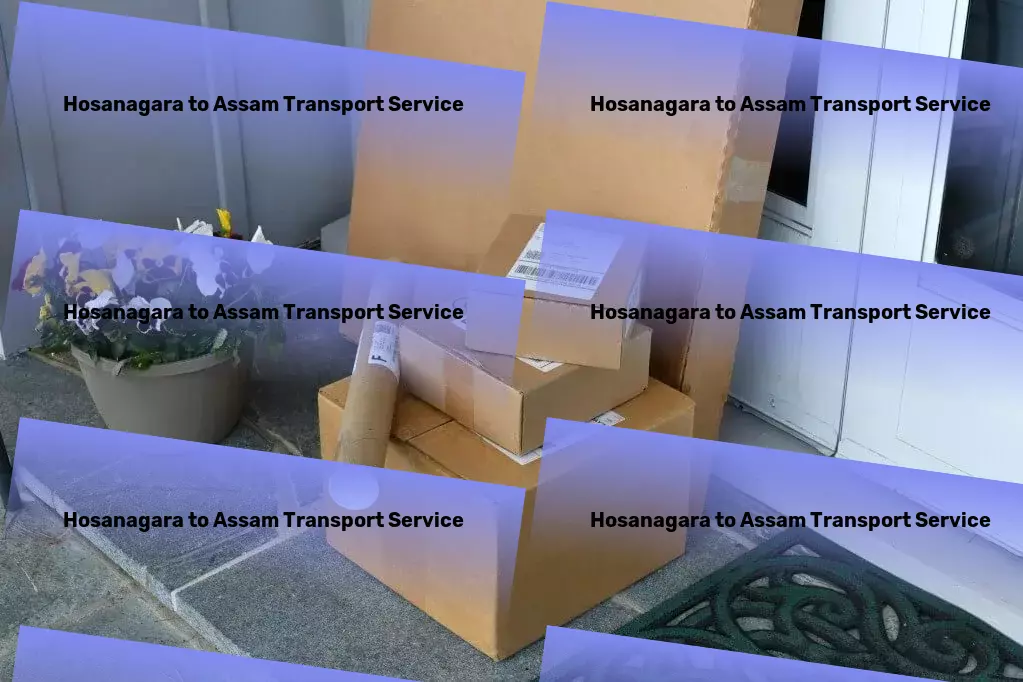 Hosanagara to Assam Transport India travels curated just for you. - Full load cargo services