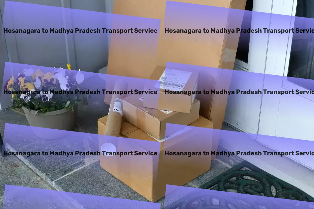 Hosanagara to Madhya Pradesh Transport Large-scale transport services