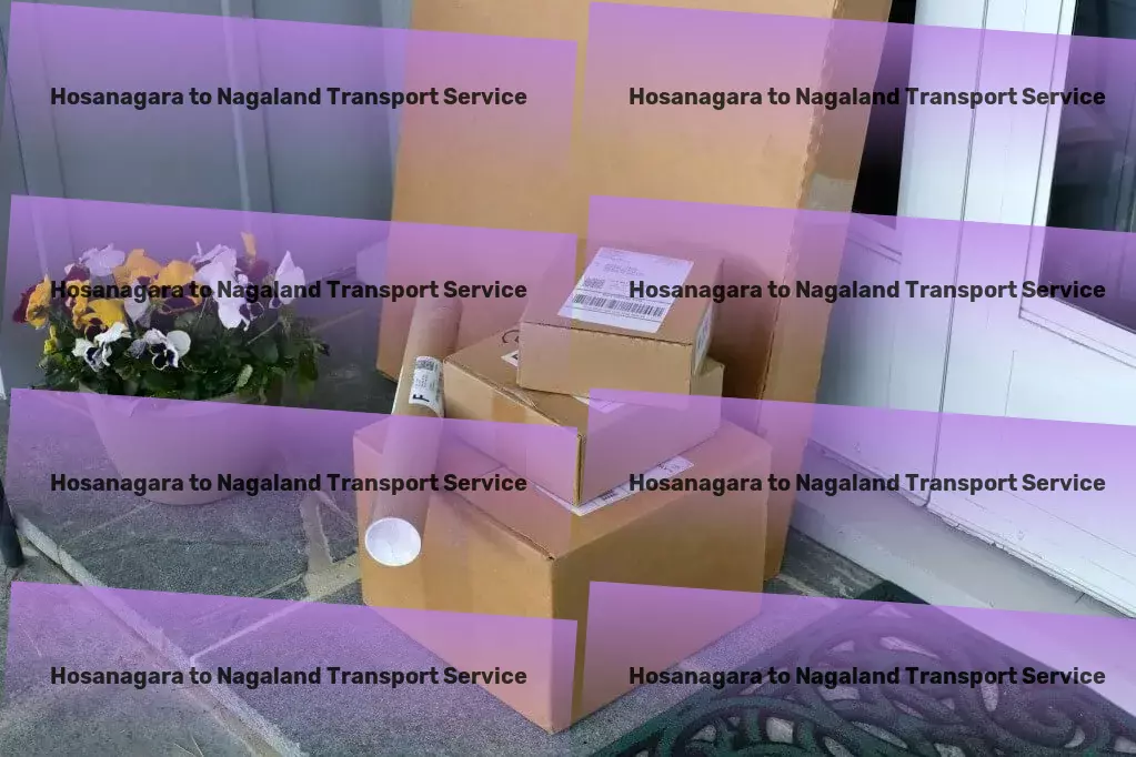 Hosanagara to Nagaland Transport Industrial transport services